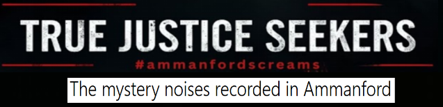 The Ammanford Mystery Header